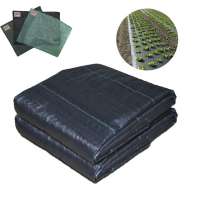 PP Woven weed barrier fabric grass cloth Plastic Ground Cover