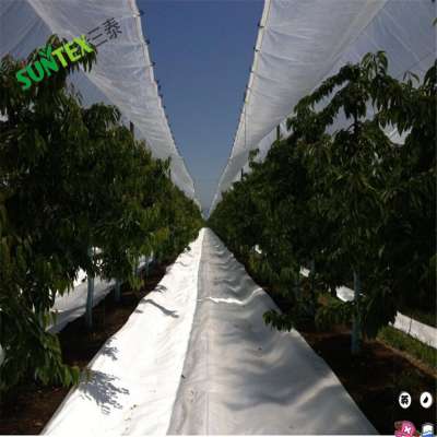 100% virgin with UV treated cherry anti acid cover/transparent pe tarpaulin 130gsm 145gsm 175gsm orchard cover customize size