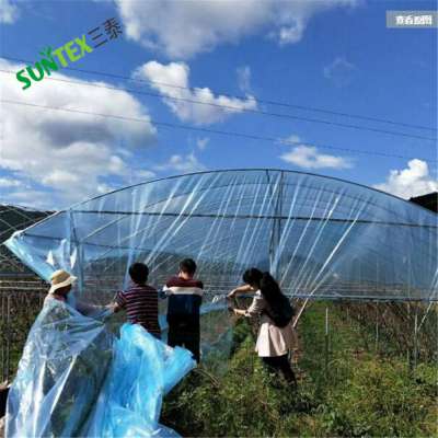 agriculture greenhouse cover 100% new material nursery clear plastic greenhouse film made in China