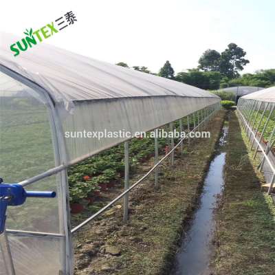 Supply qualtity clear Greenhouse Polyethylene Film 6 mil poly film greenhouse plastic overwintering film