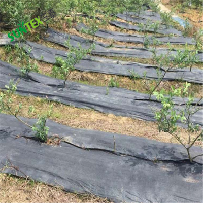 wholesale anti weeds woven plastic mat/landscape use weed block cloth/cheap grass barrier material