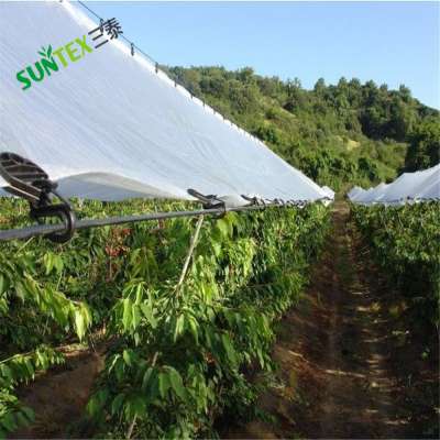 100% virgin with UV treated woven transparent pe cover,cherry anti acid protection cover 200gsm orchard cover